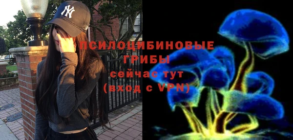 мяу мяу мука Армянск