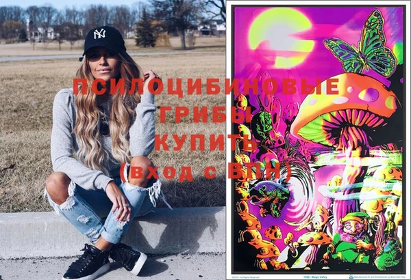 мяу мяу мука Армянск