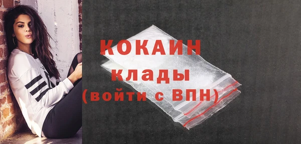 тгк Арсеньев