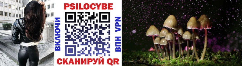 Купить где  Топки  Галлюциногенные грибы Psilocybe 